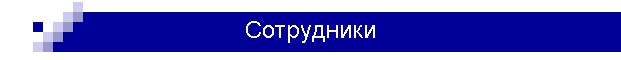 Сотрудники